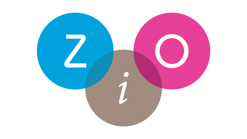 ZIO Zorg in Ontwikkeling